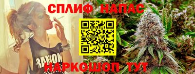 скорость Новозыбков