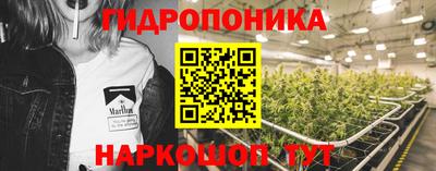 твердый Новодвинск